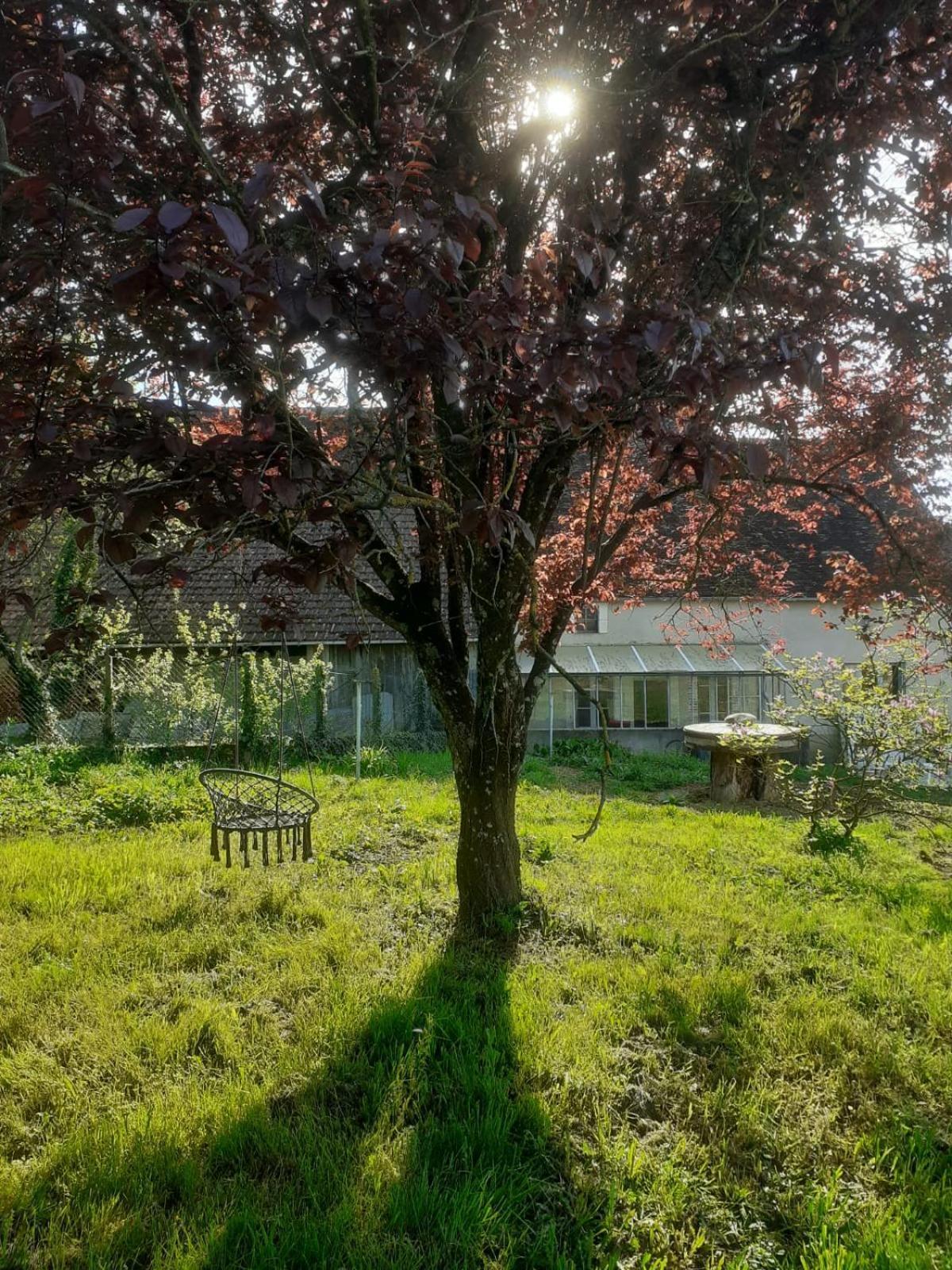 Location De Chambres Bienvenue Chez Meme Treigny Exterior photo