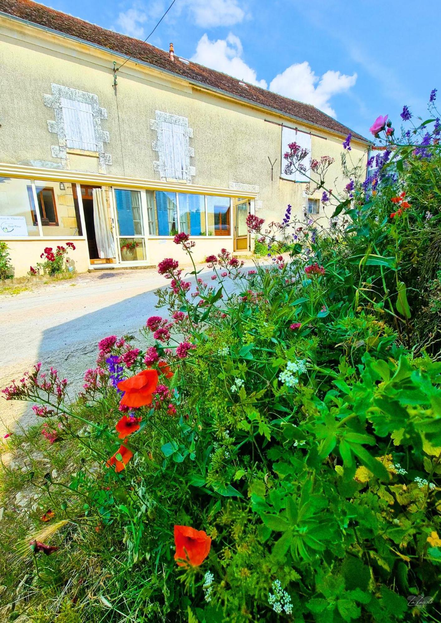 Location De Chambres Bienvenue Chez Meme Treigny Exterior photo
